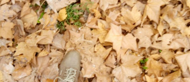 Ahora que nos toca quedarnos en casa… vitamina D