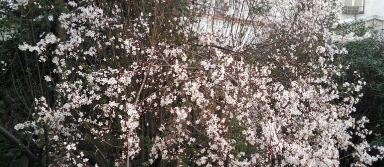 Ahora que nos toca quedarnos en casa…