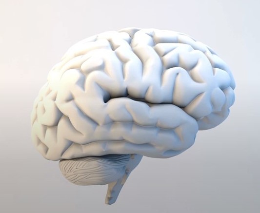 ¿Cómo conseguir un cerebro permisivo?